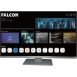 Falcon 24" WebOS SMART Camping Tv 12V/24V/240V